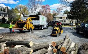 Best Lot and Land Clearing  in Truth Or Consequences, NM