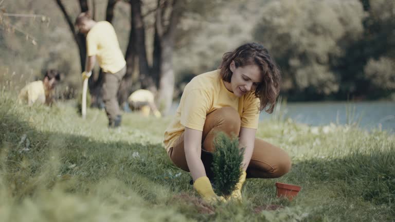 Organic Lawn Care Solutions in Truth Or Consequences, NM